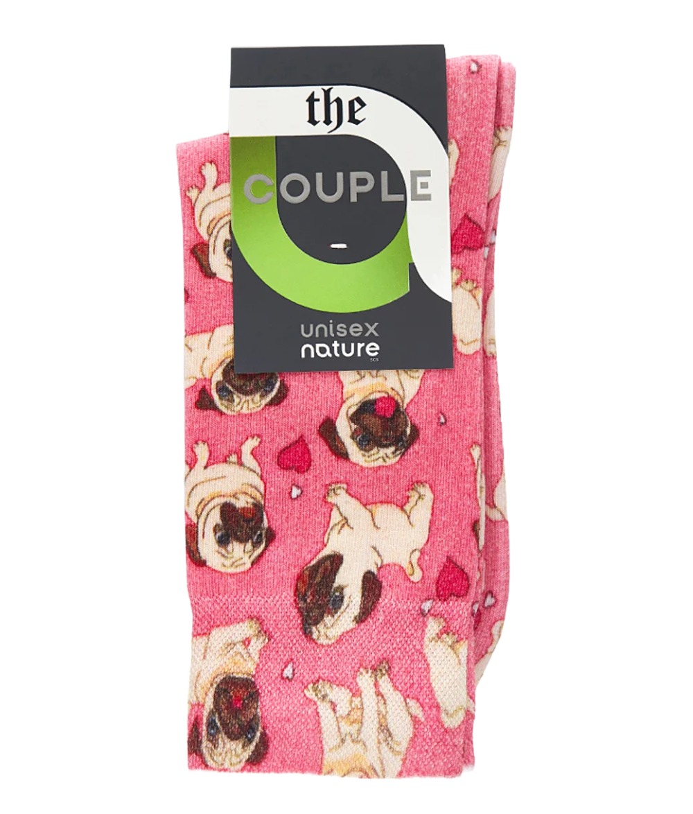 Носки подростковые демисезон арт.064 Мопсы р25-27