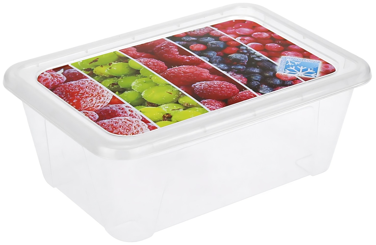 Контейнер для замораживания продуктов 0,9л C77206