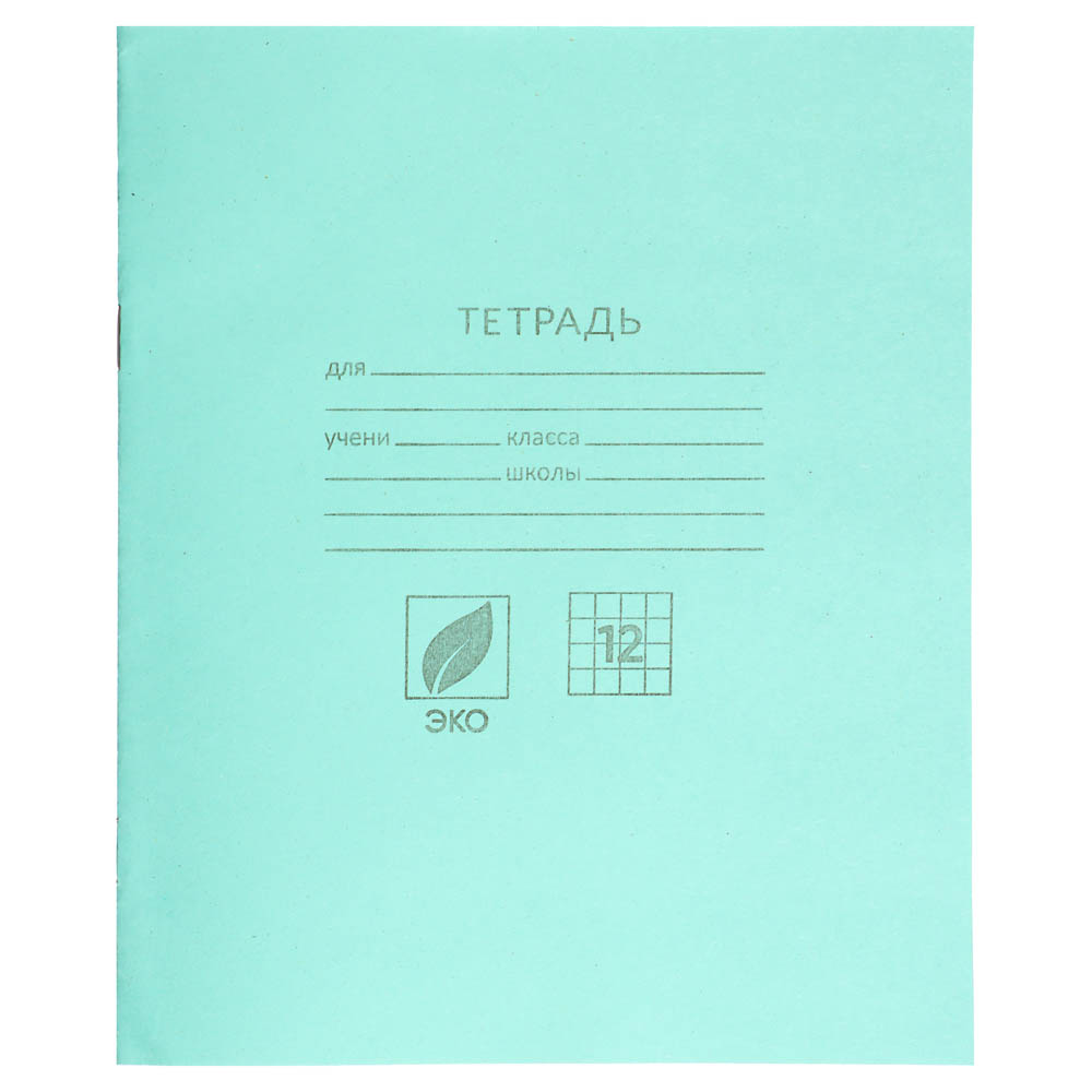 Тетрадь школьная 12 листов ,в клетку 012ТУ13С5