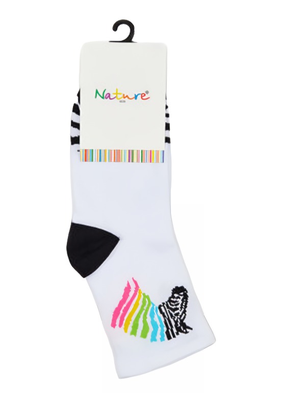 Носки детские Зебра демисезон арт.669д  р18-20