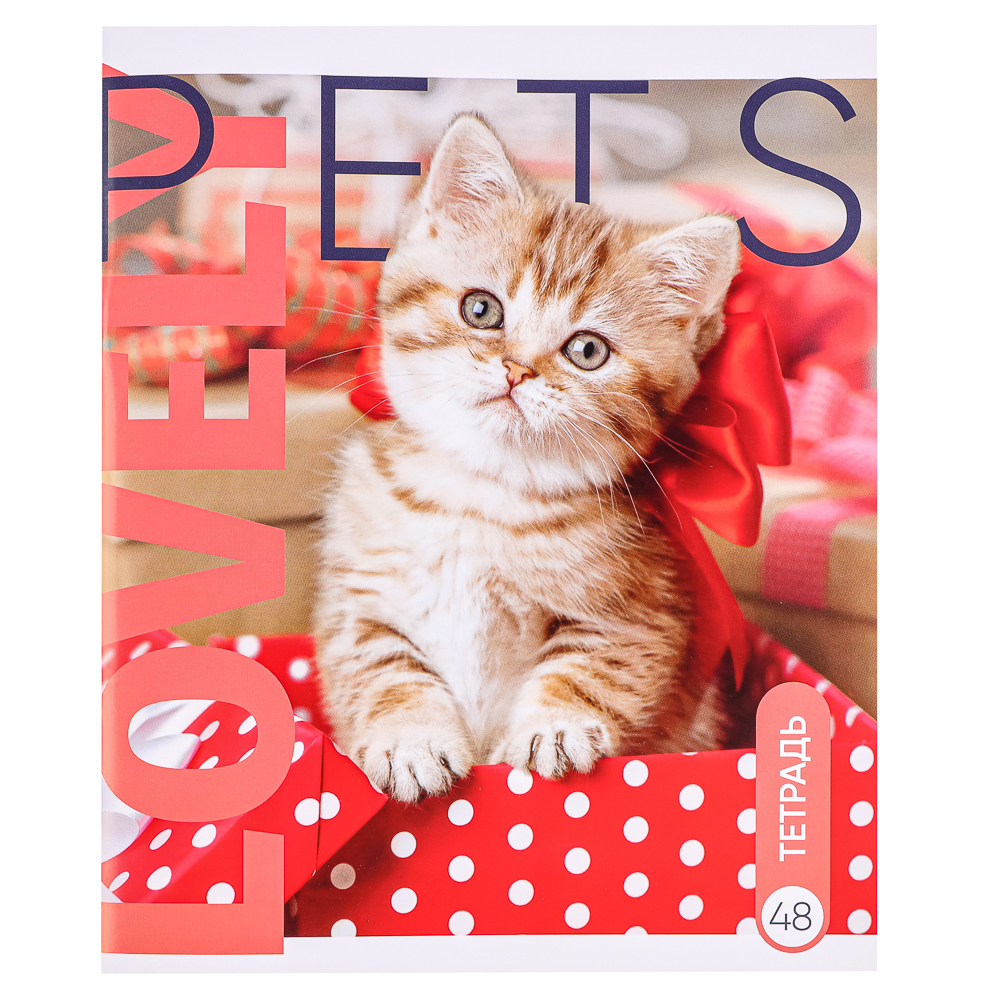 ClipStudio Тетрадь общая 48 листов,в клетку 