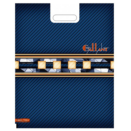 Пакет прорубной 38х47/60 мкм Галант