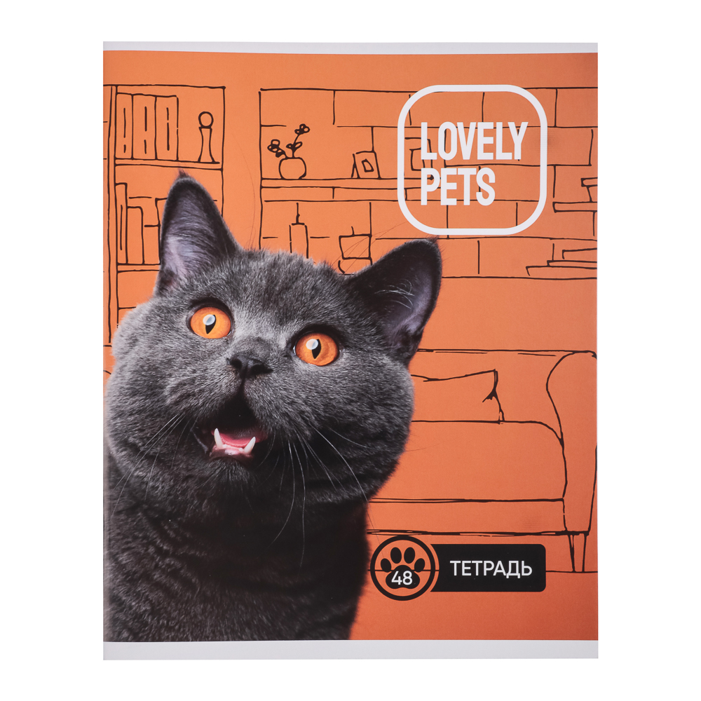 ClipStudio Тетрадь общая 48 листов,в клетку БЕЛЫЕ ЛИСТЫ